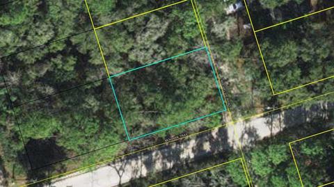 76 Rochelsie Road, Crawfordville, FL 32327