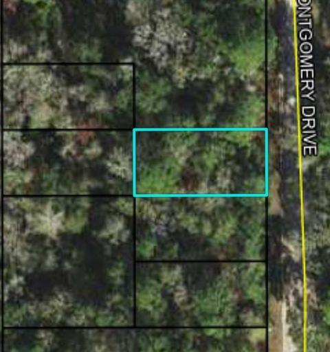 4 Montgomery Drive, Crawfordville, FL 32327