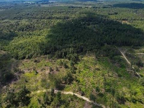 Crestwood Drive, Crawfordville, FL 32327
