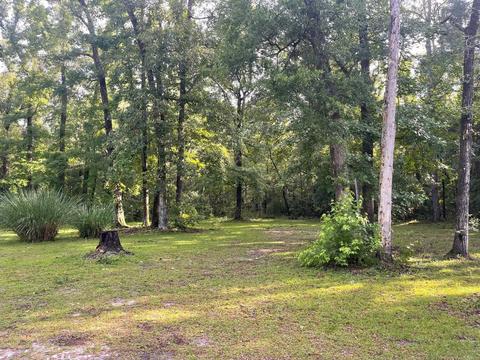 984 Sora Rd, Tallahassee, FL 32305