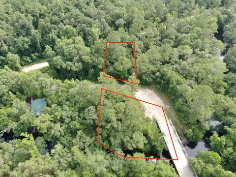 Vacant Mt Beasor Road, Sopchoppy, FL 32358