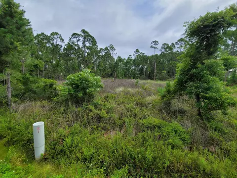 Lot F9 Surf Road, Panacea, FL 32346