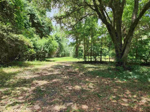 134 NW Reindeer Ln, Greenville, FL 32331