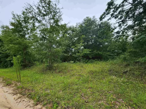 Vacant NE Reagan Rd, Madison, FL 32340