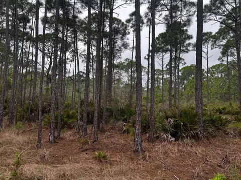 Nn Warbird Circle, Panacea, FL 32346