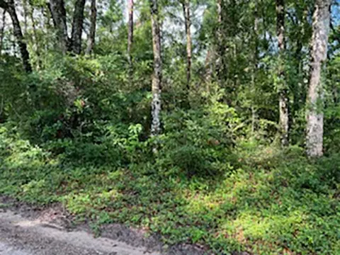 38 Neeley Road, Crawfordville, FL 32327