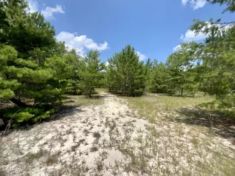 Vacant SE Hammerly St, Madison County, FL 32059