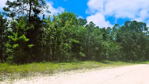 Tbd E Whitetail Drive, Keaton Beach, FL 32348