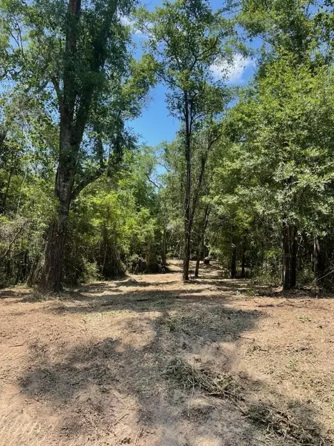 M L King Boulevard, Midway, FL 32343 photo 3