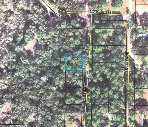 5 L M Street, Crawfordville, FL 32327