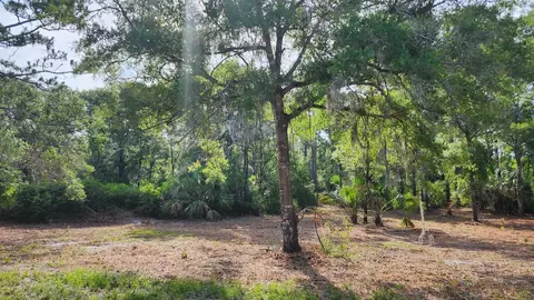 Tbd Spring Warrior Road, Perry, FL 32348 photo 16