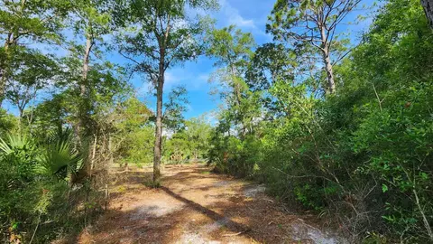 Tbd Spring Warrior Road, Perry, FL 32348 photo 12