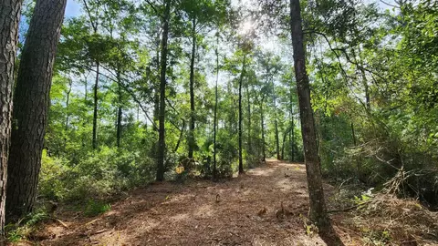 Tbd Spring Warrior Road, Perry, FL 32348 photo 8