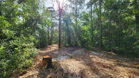 Tbd Spring Warrior Road, Perry, FL 32348 photo 5