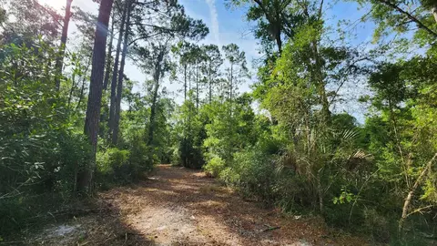 Tbd Spring Warrior Road, Perry, FL 32348 photo 3