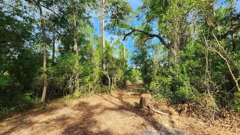 Tbd Spring Warrior Road, Perry, FL 32348 photo 6