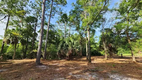Tbd Spring Warrior Road, Perry, FL 32348