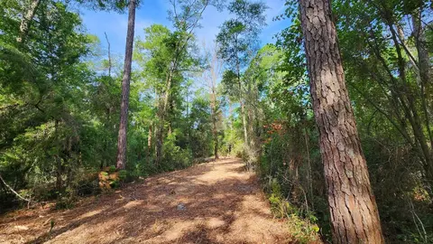 Tbd Spring Warrior Road, Perry, FL 32348 photo 10