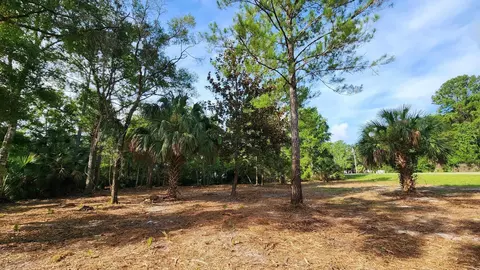 Tbd Spring Warrior Road, Perry, FL 32348 photo 14