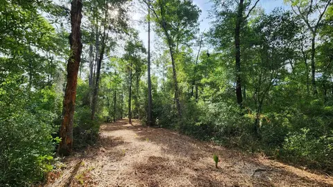 Tbd Spring Warrior Road, Perry, FL 32348 photo 7
