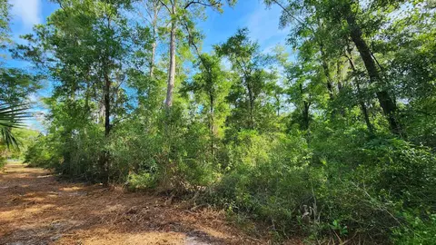 Tbd Spring Warrior Road, Perry, FL 32348 photo 11