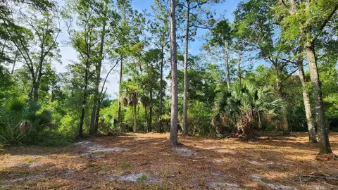 Tbd Spring Warrior Road, Perry, FL 32348 photo 2