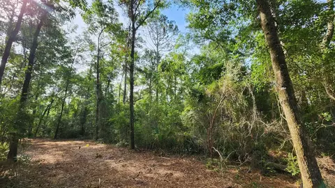 Tbd Spring Warrior Road, Perry, FL 32348 photo 9