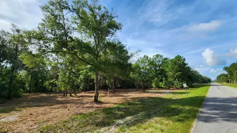 Tbd Spring Warrior Road, Perry, FL 32348 photo 19