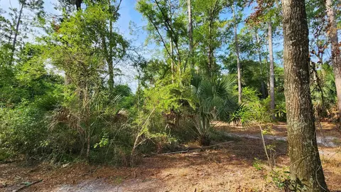 Tbd Spring Warrior Road, Perry, FL 32348 photo 4