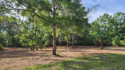 Tbd Spring Warrior Road, Perry, FL 32348 photo 18