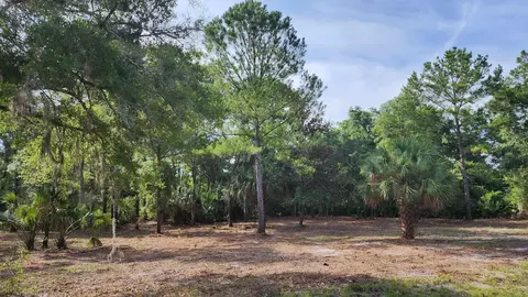 Tbd Spring Warrior Road, Perry, FL 32348 photo 17