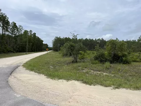 Tbd Ocean Pond Drive Drive, Perry, FL 32348