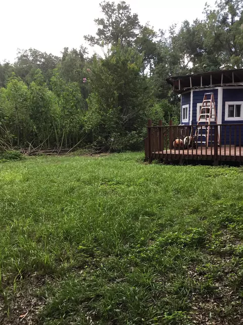 436 Alexander Rd, Lamont, FL 32336 photo 28