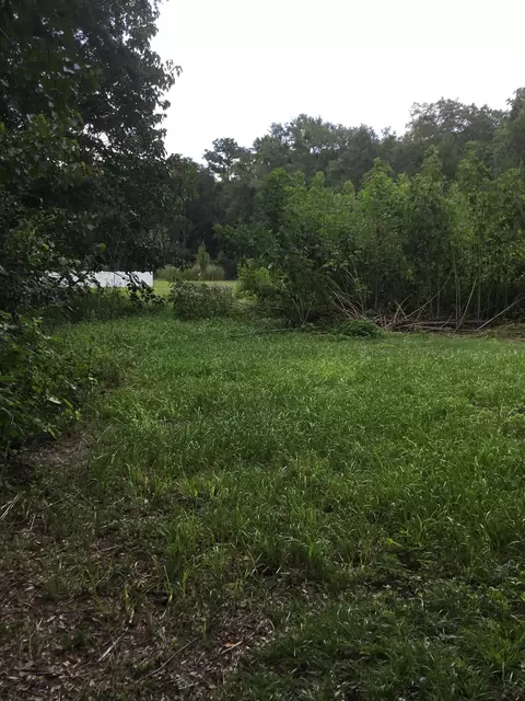 436 Alexander Rd, Lamont, FL 32336 photo 29