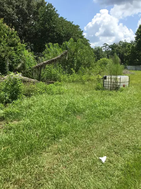 436 Alexander Rd, Lamont, FL 32336 photo 30