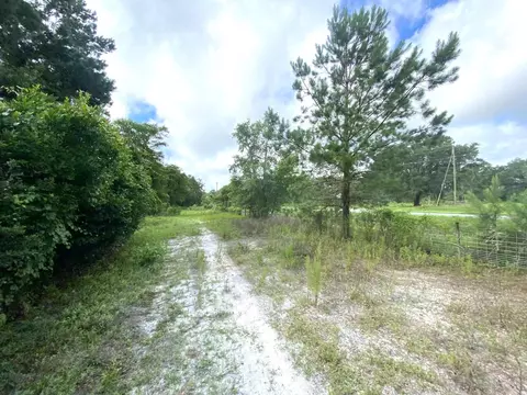 5410 Red Padgett Rd, Perry, FL 32348 photo 17