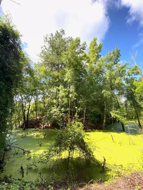 5410 Red Padgett Rd, Perry, FL 32348 photo 15