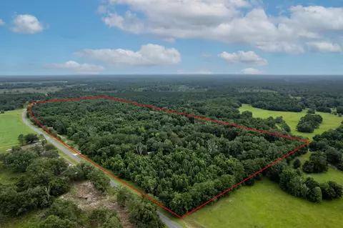 5410 Red Padgett Rd, Perry, FL 32348 photo 6