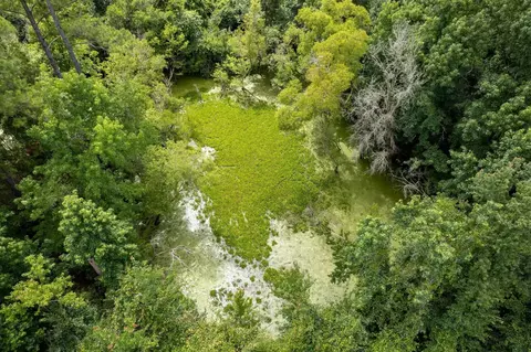 5410 Red Padgett Rd, Perry, FL 32348 photo 14