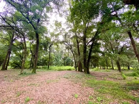 5410 Red Padgett Rd, Perry, FL 32348 photo 25