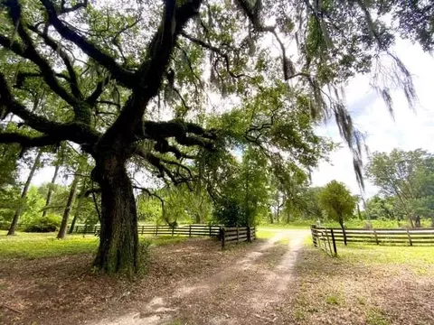 5410 Red Padgett Rd, Perry, FL 32348 photo 20