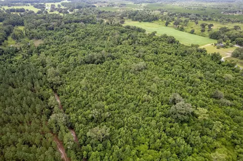 5410 Red Padgett Rd, Perry, FL 32348 photo 7