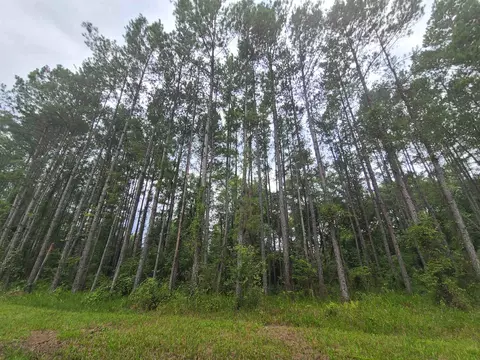 Lot 87 SW Oregon Trail, Greenville, FL 32331