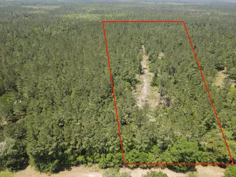 00 SW Paradise Way, Greenville, FL 32331