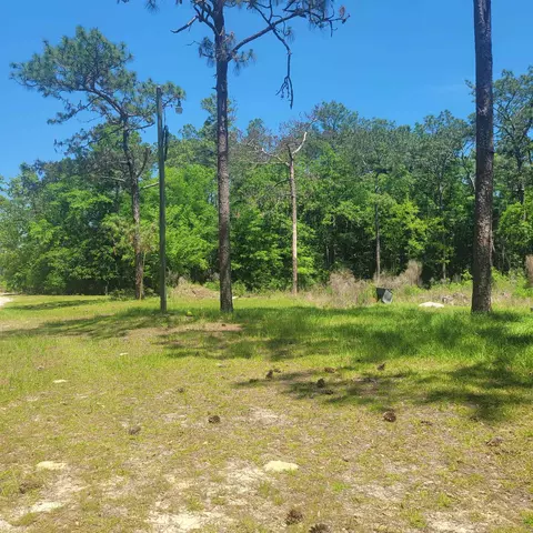 1004 Back Forest Ln, Tallahassee, FL 32305