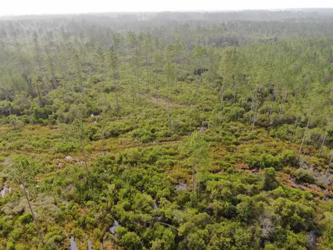 Vacant Circle Block Loop, Perry, FL 32348 photo 37