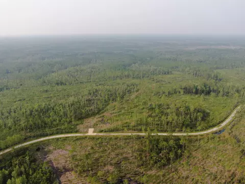 Vacant Circle Block Loop, Perry, FL 32348 photo 6