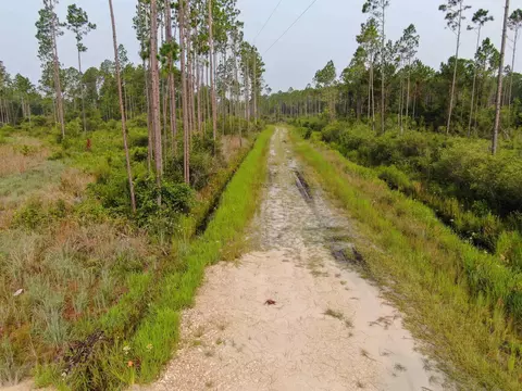 Vacant Circle Block Loop, Perry, FL 32348 photo 4