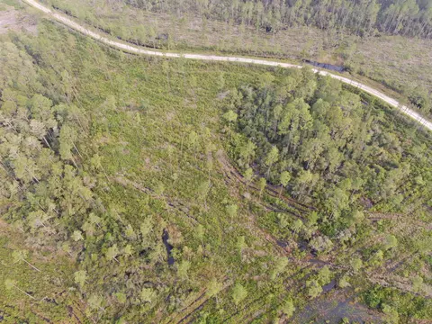 Vacant Circle Block Loop, Perry, FL 32348 photo 32