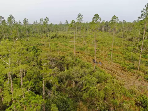 Vacant Circle Block Loop, Perry, FL 32348 photo 20